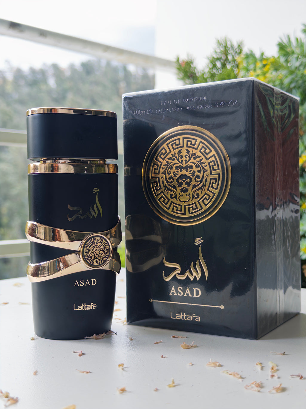 Asad - PolJosh