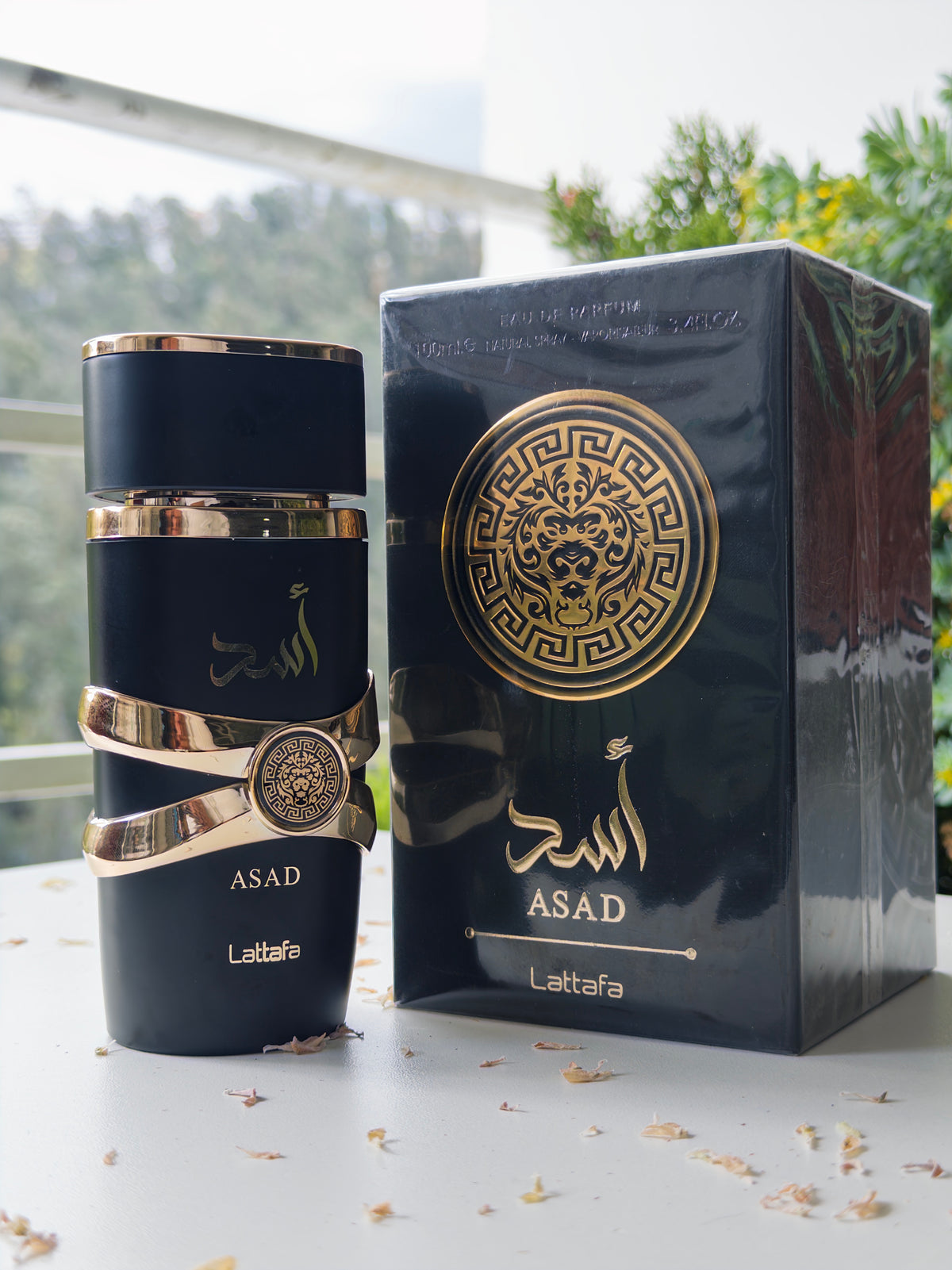 Asad - PolJosh