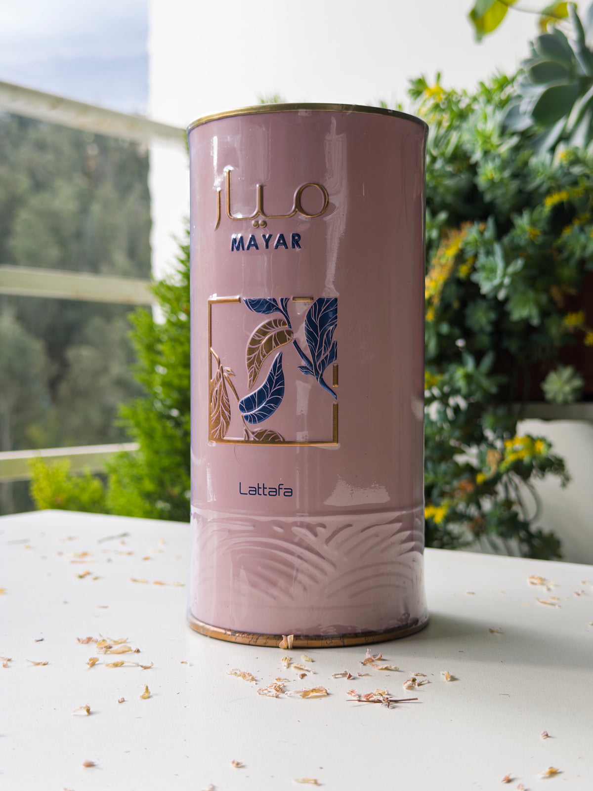 Mayar - PolJosh