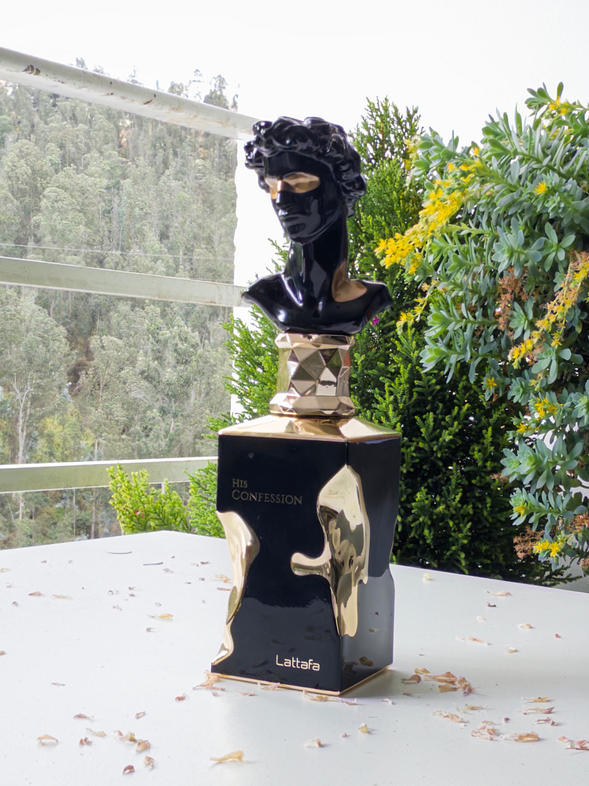 His Confession - PolJosh