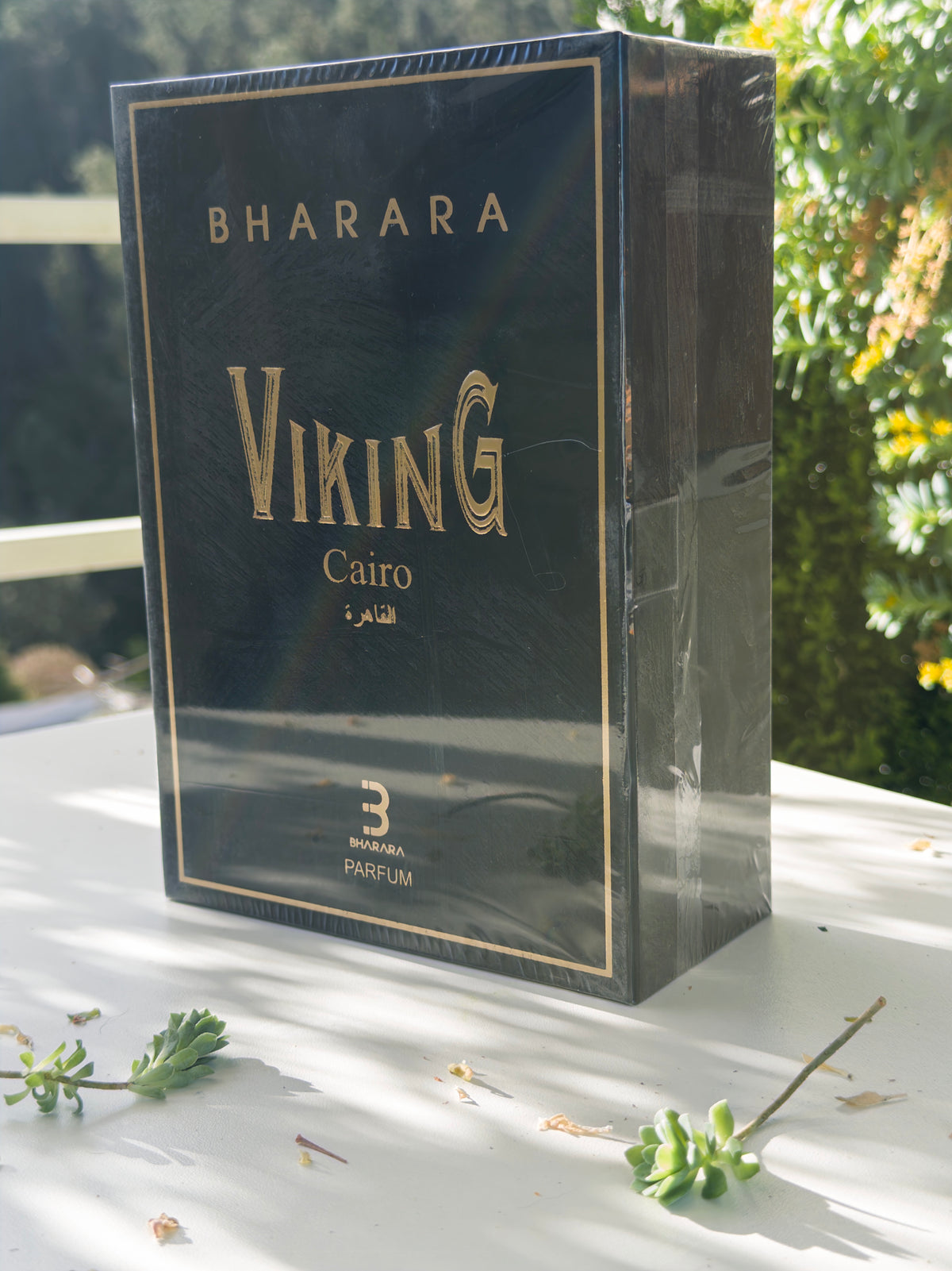 Viking Cairo - PolJosh