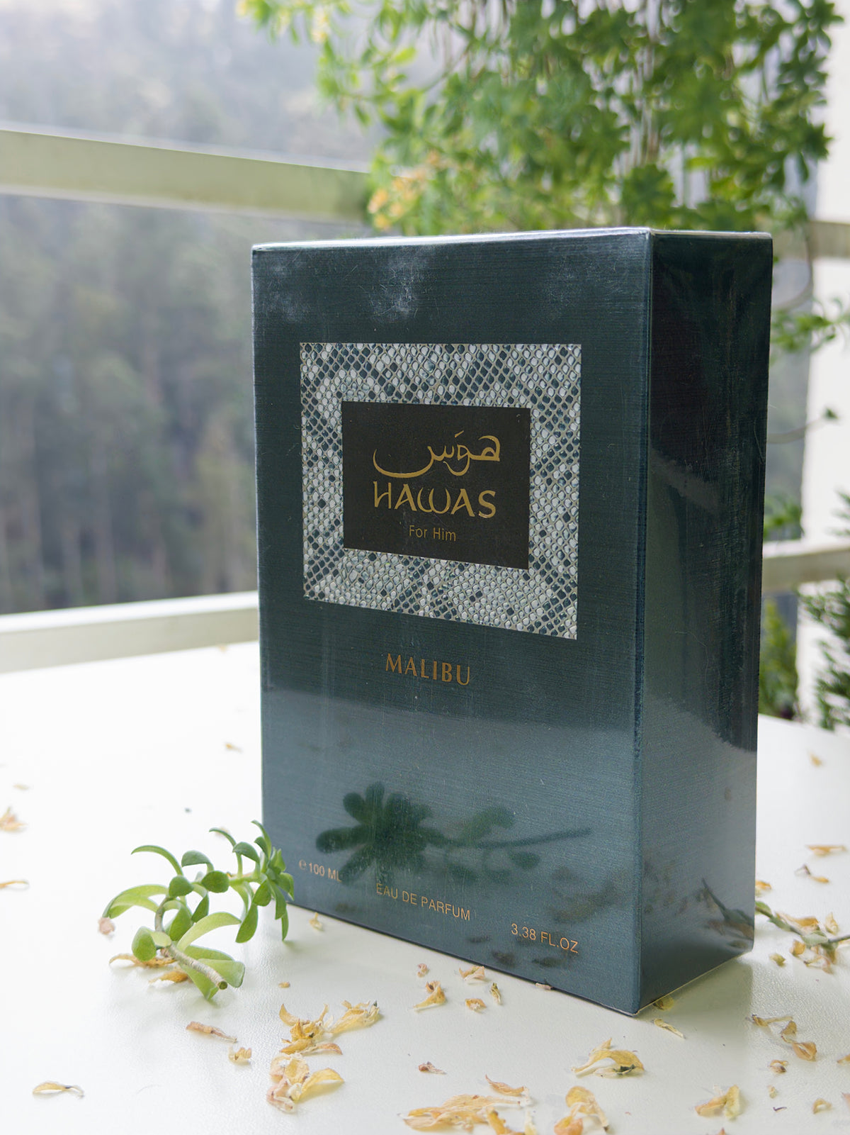 Hawas Malibu - PolJosh