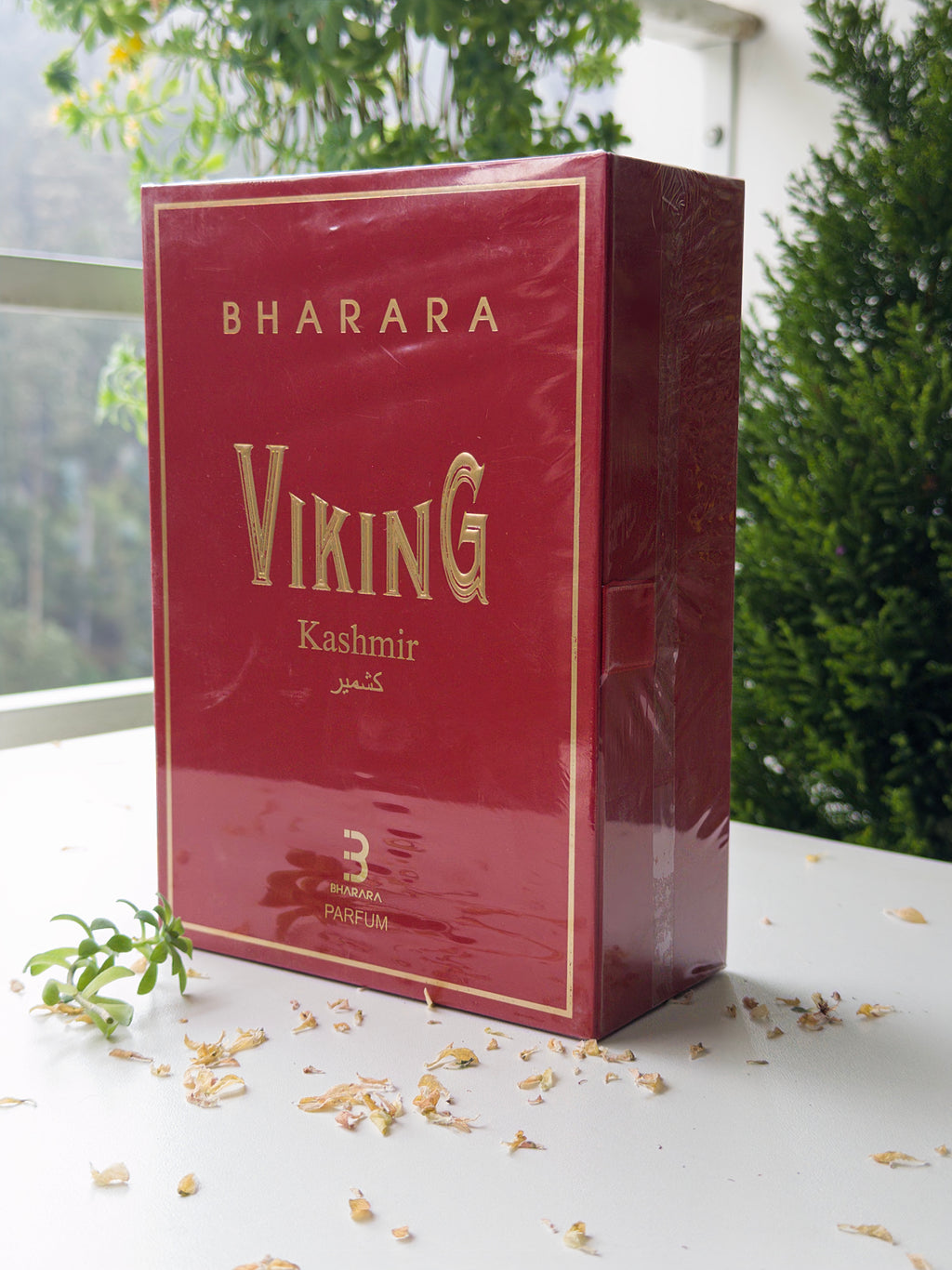 Viking Kashmir - PolJosh