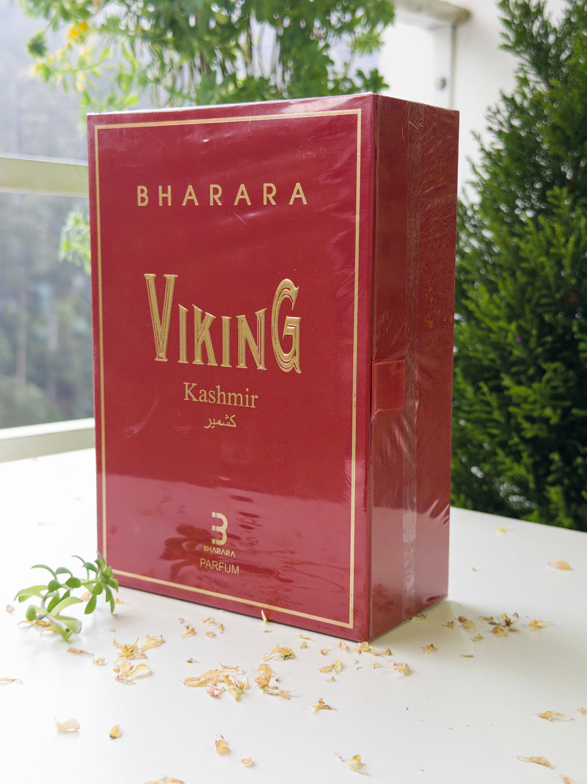 Viking Kashmir - PolJosh