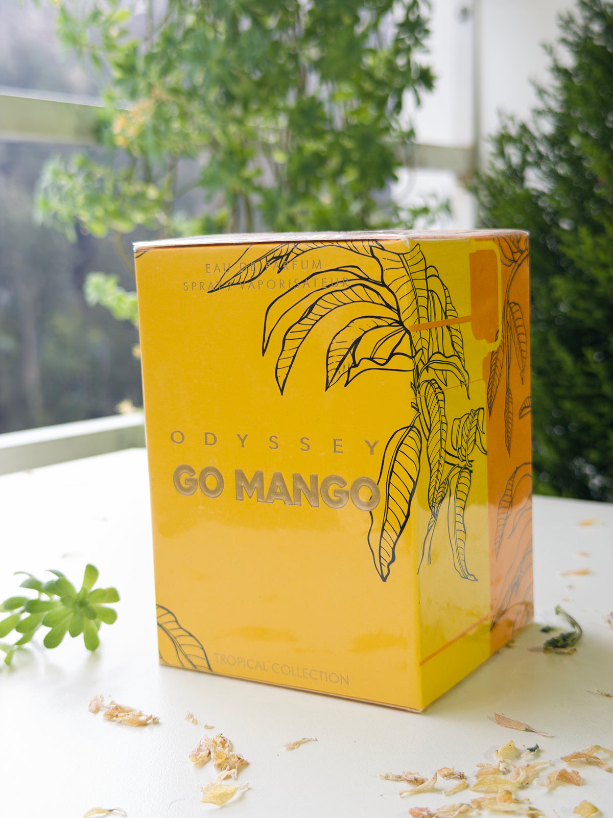 Odyssey Go Mango - PolJosh