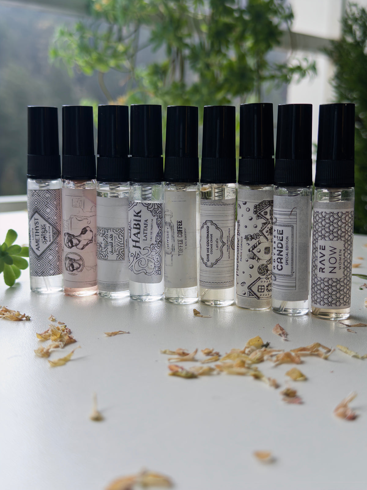 Kit de descubrimiento · decants de 5 ml - PolJosh