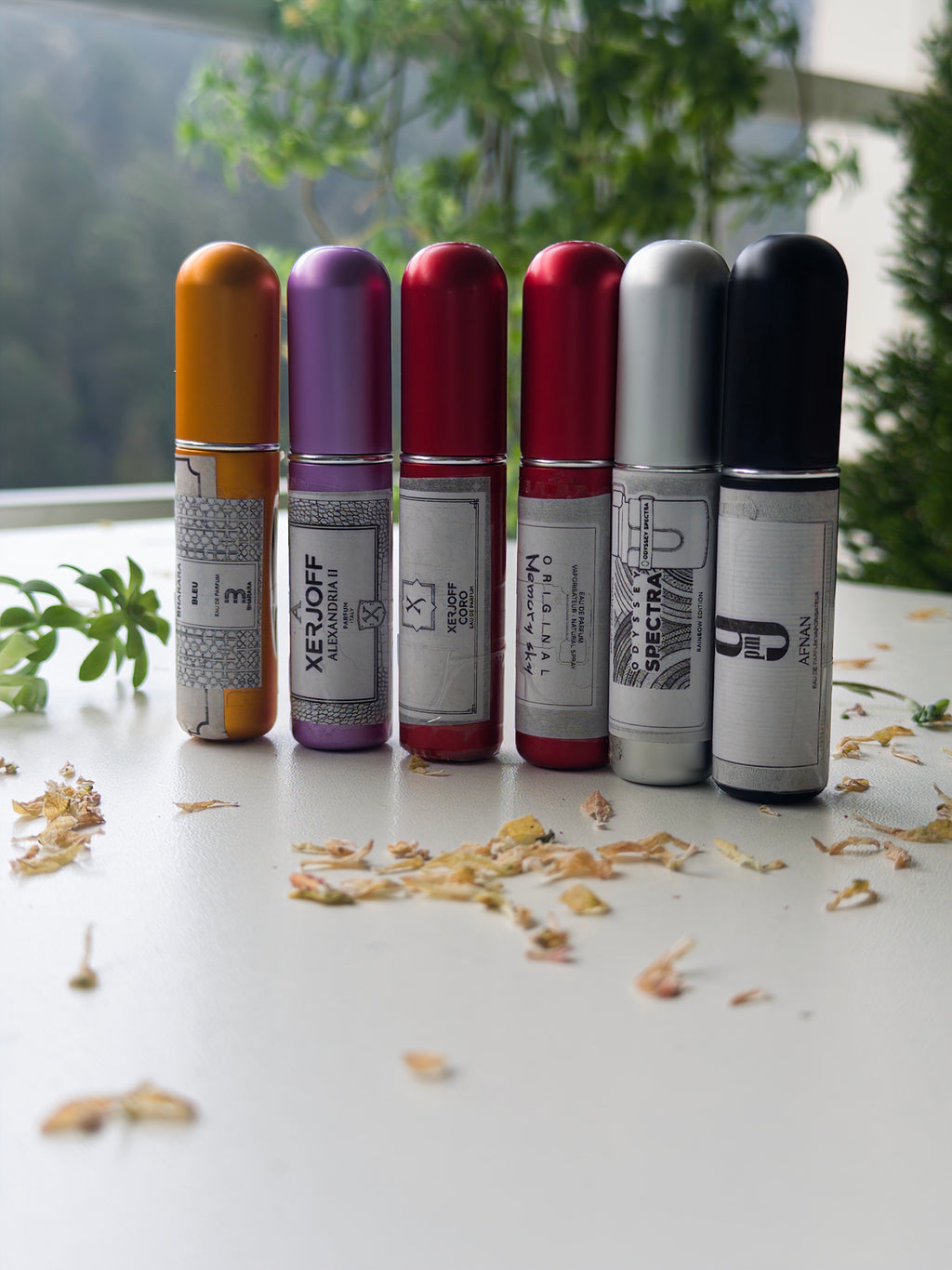 Kit de descubrimiento · decants de 5 ml - PolJosh