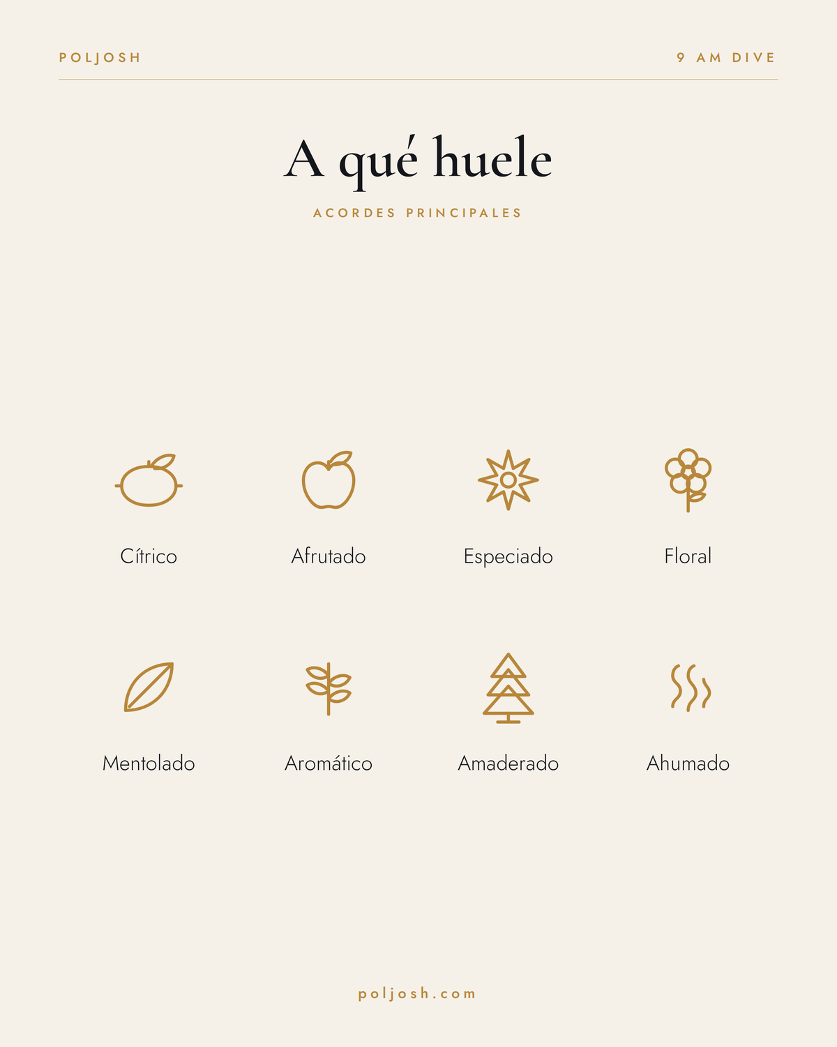 9 AM Dive — acordes principales