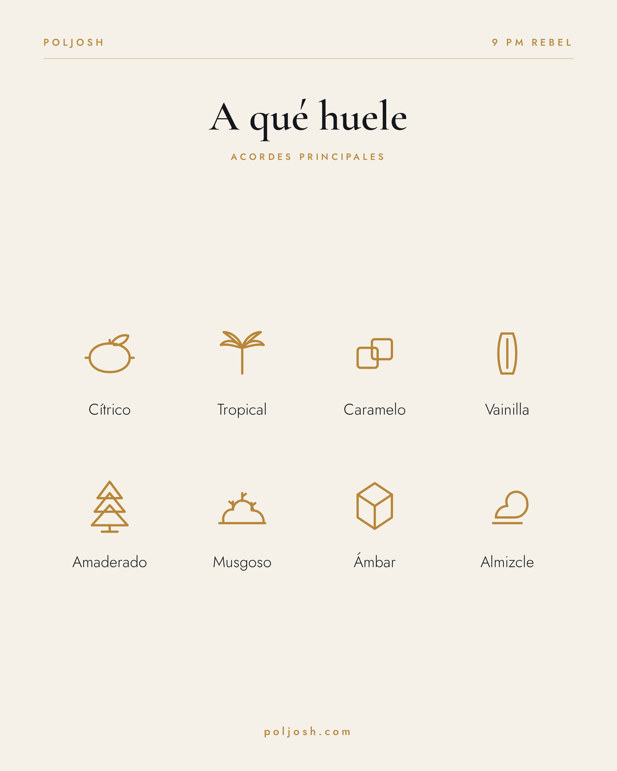 9 PM Rebel — acordes principales
