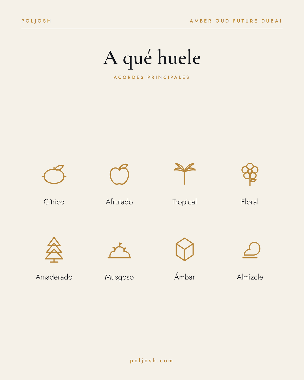 Amber Oud Future Dubai — acordes principales