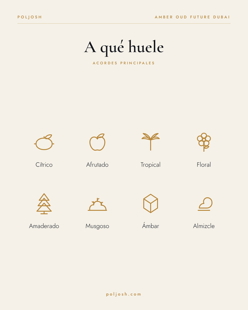 Amber Oud Future Dubai — acordes principales