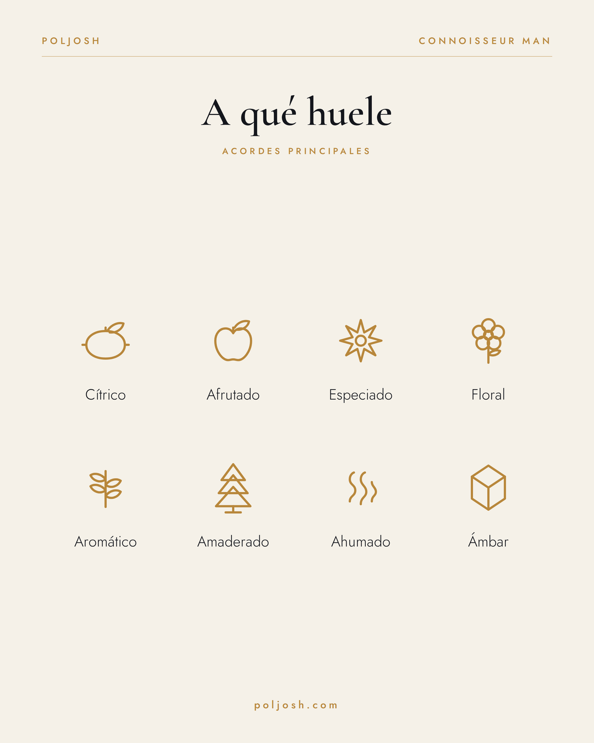 Connoisseur Man — acordes principales