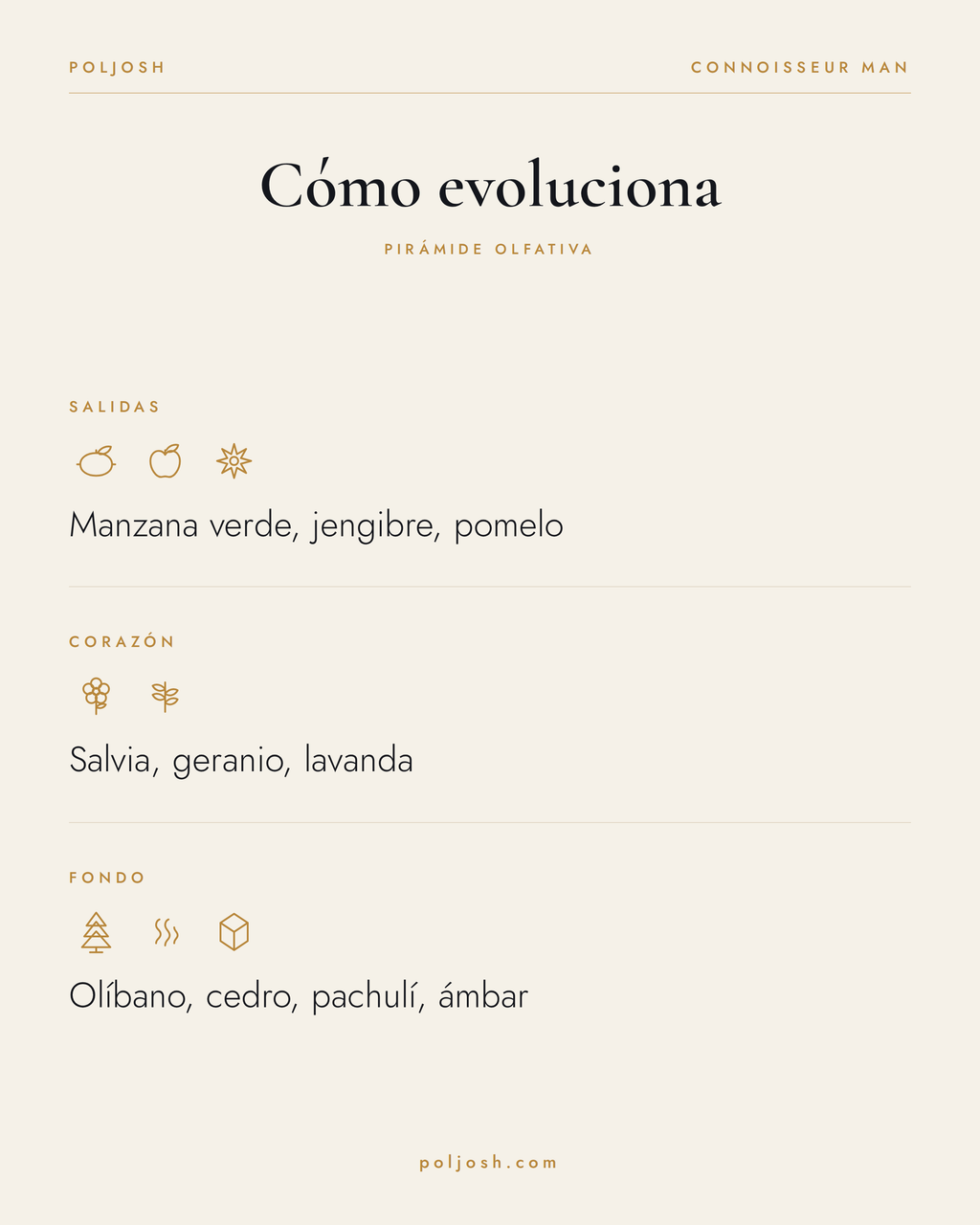 Connoisseur Man — pirámide olfativa