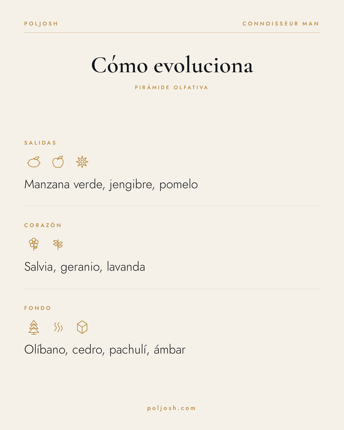 Connoisseur Man — pirámide olfativa