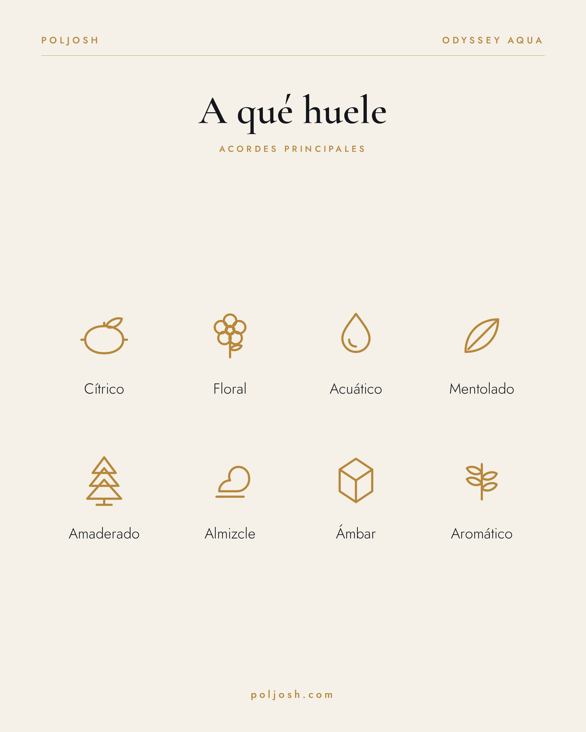Odyssey Aqua — acordes principales