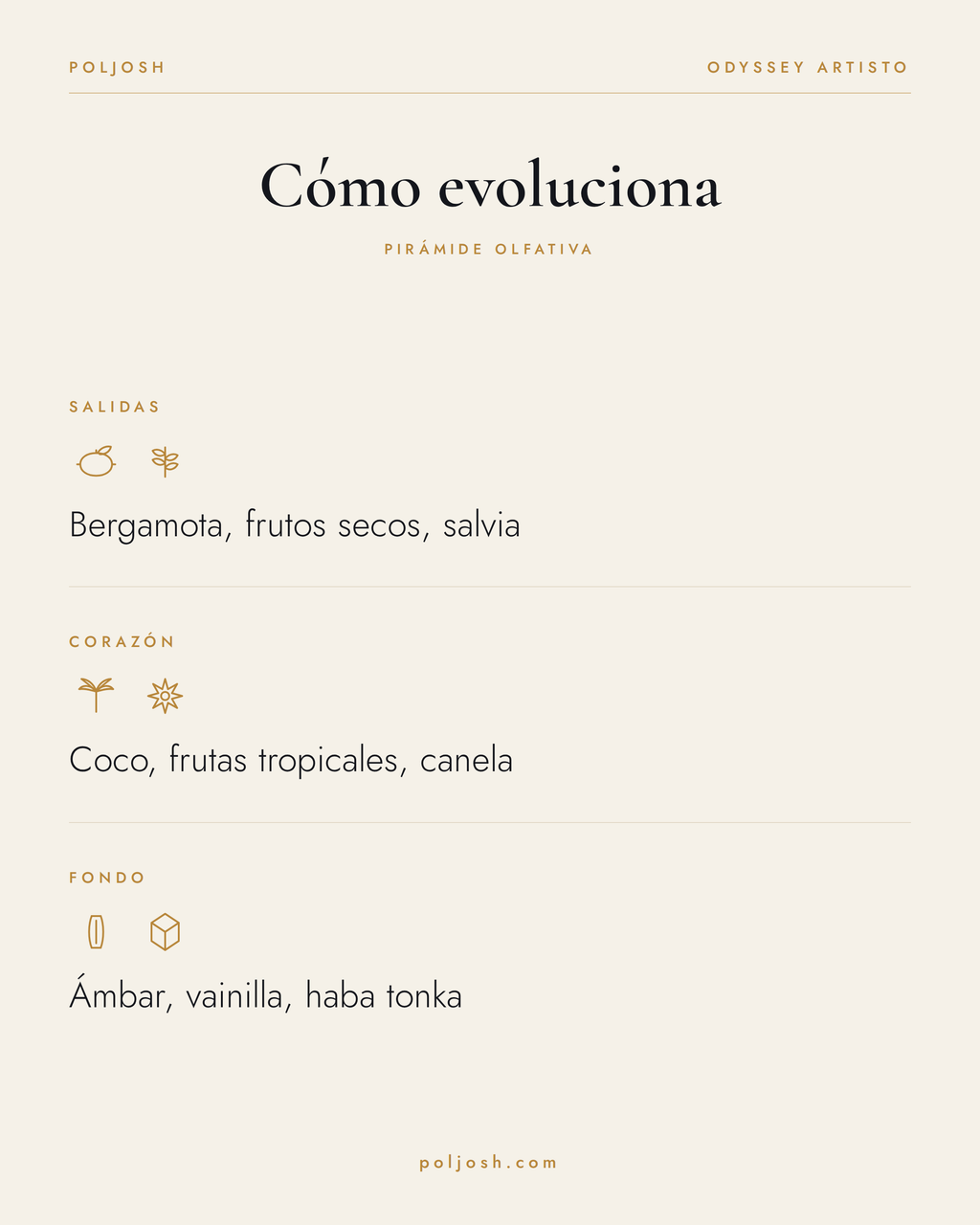 Odyssey Artisto — pirámide olfativa