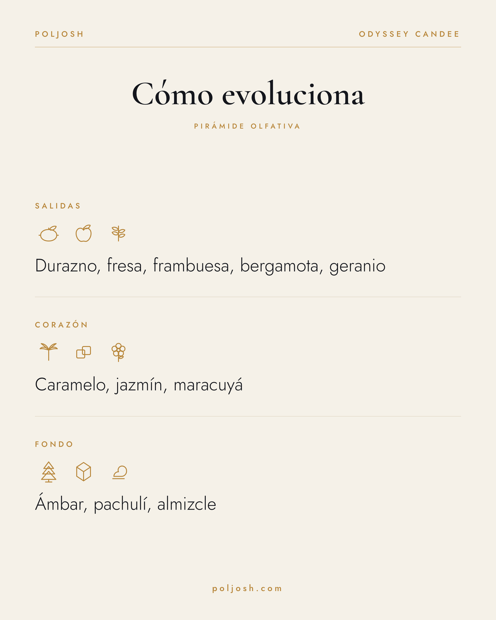 Odyssey Candee — pirámide olfativa