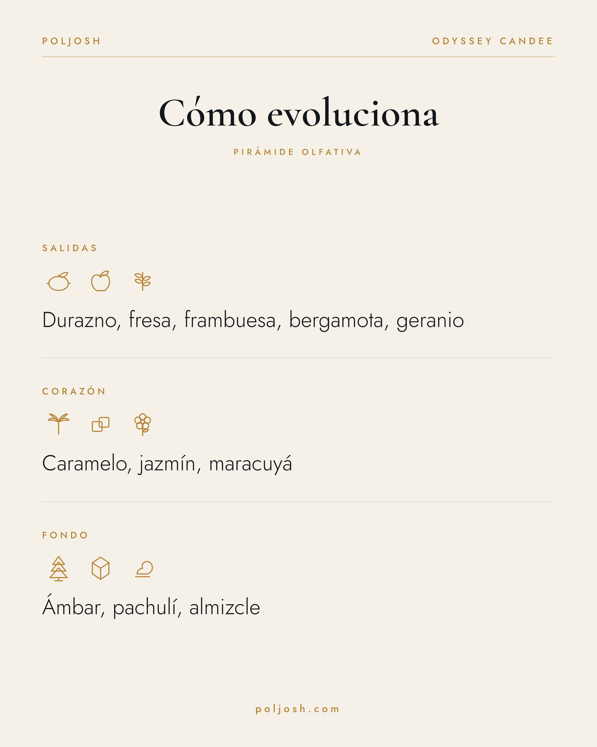Odyssey Candee — pirámide olfativa