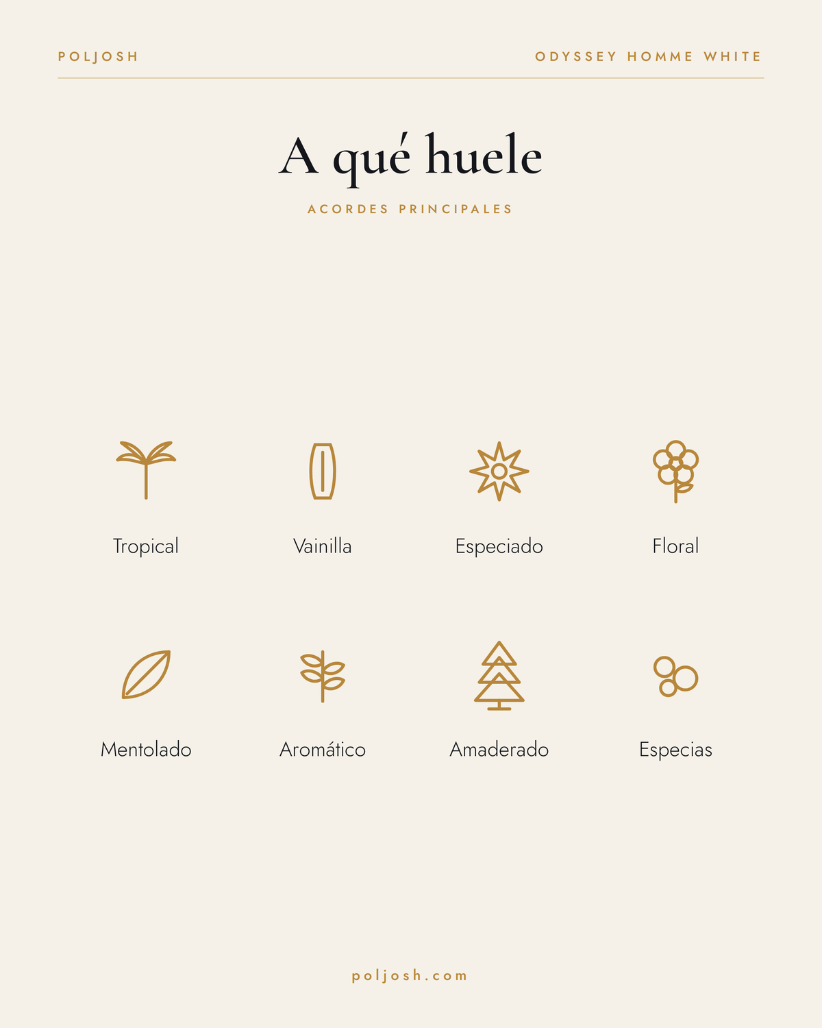 Odyssey Homme White — acordes principales