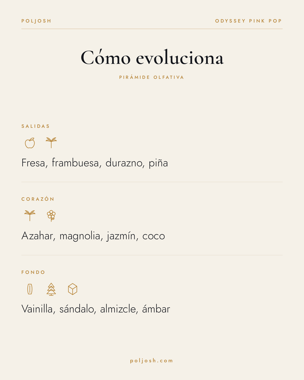 Odyssey Pink Pop — pirámide olfativa