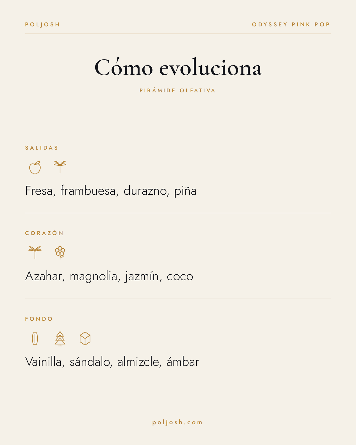 Odyssey Pink Pop — pirámide olfativa