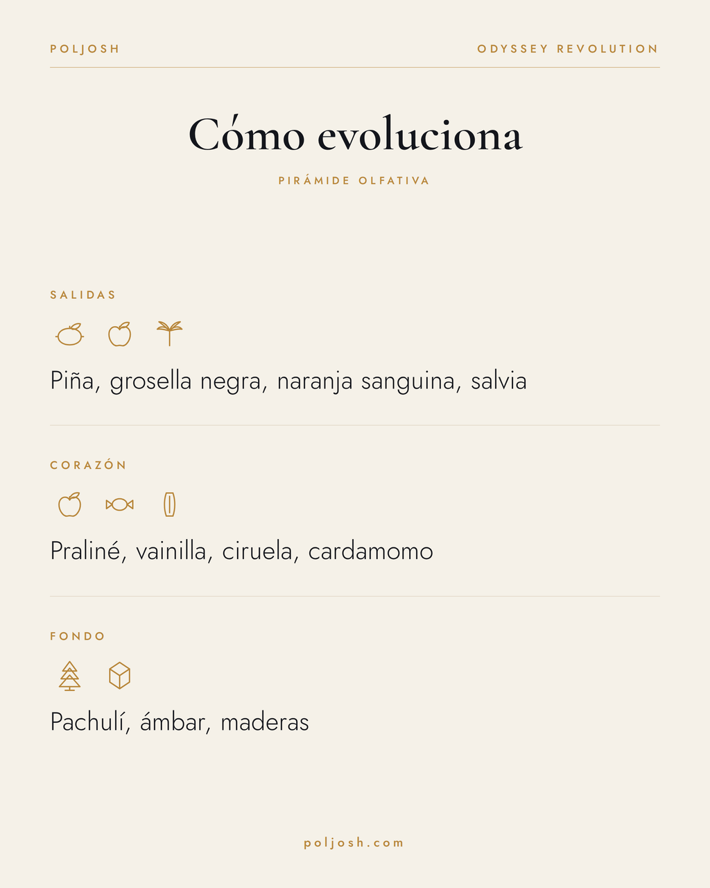 Odyssey Revolution — pirámide olfativa