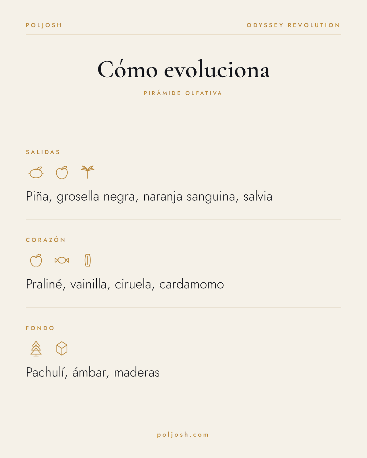 Odyssey Revolution — pirámide olfativa