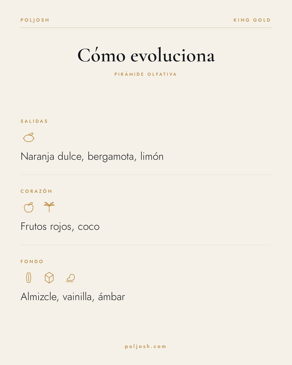 King Gold — pirámide olfativa