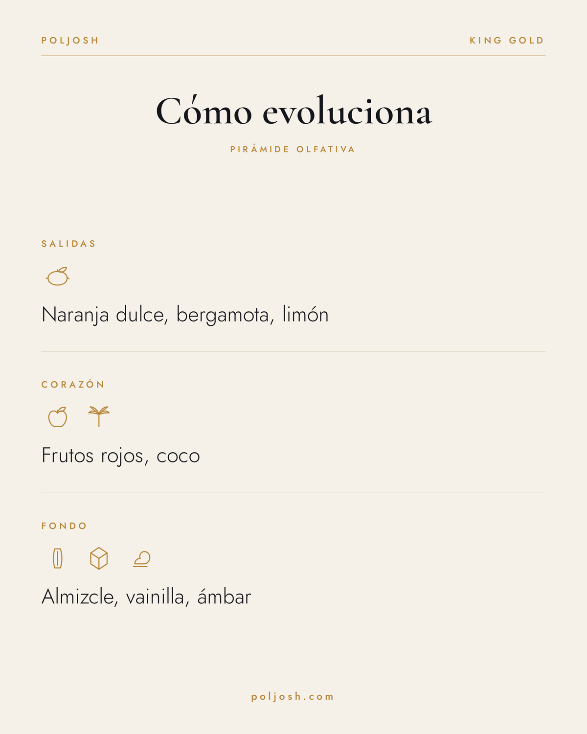 King Gold — pirámide olfativa
