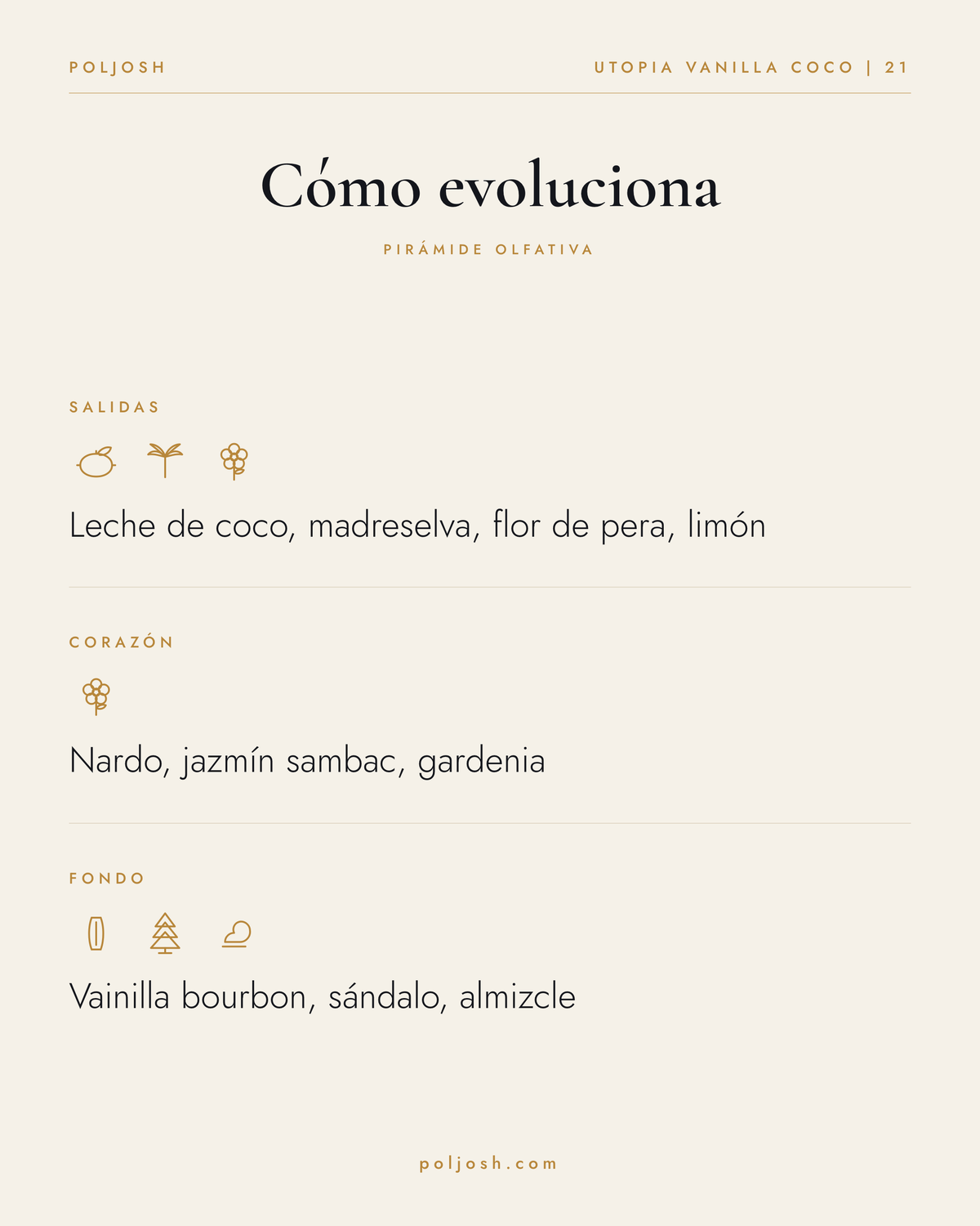 Utopia Vanilla Coco | 21 — pirámide olfativa