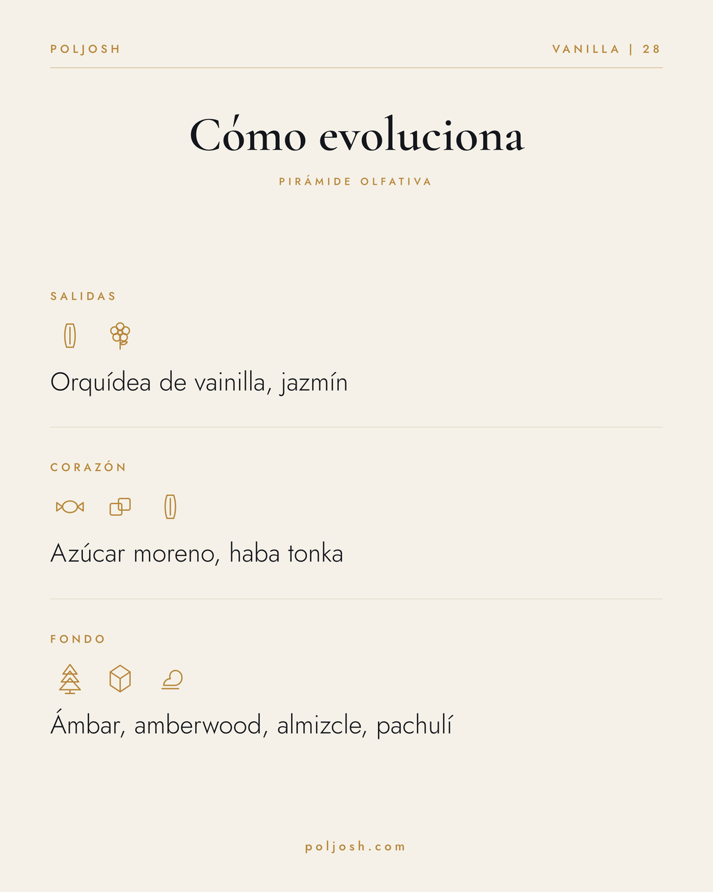 Vanilla | 28 — pirámide olfativa