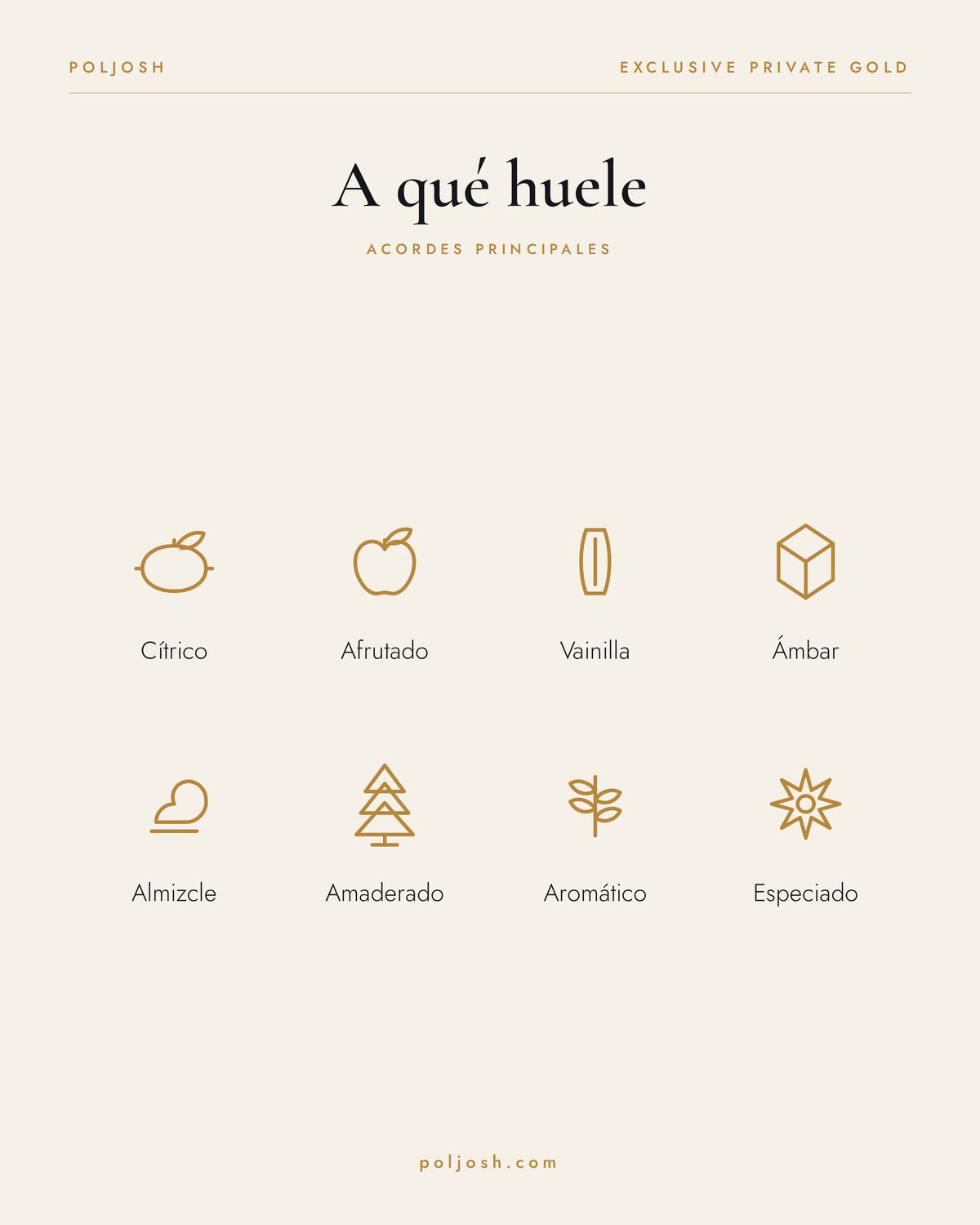 Exclusive Private Gold — acordes principales