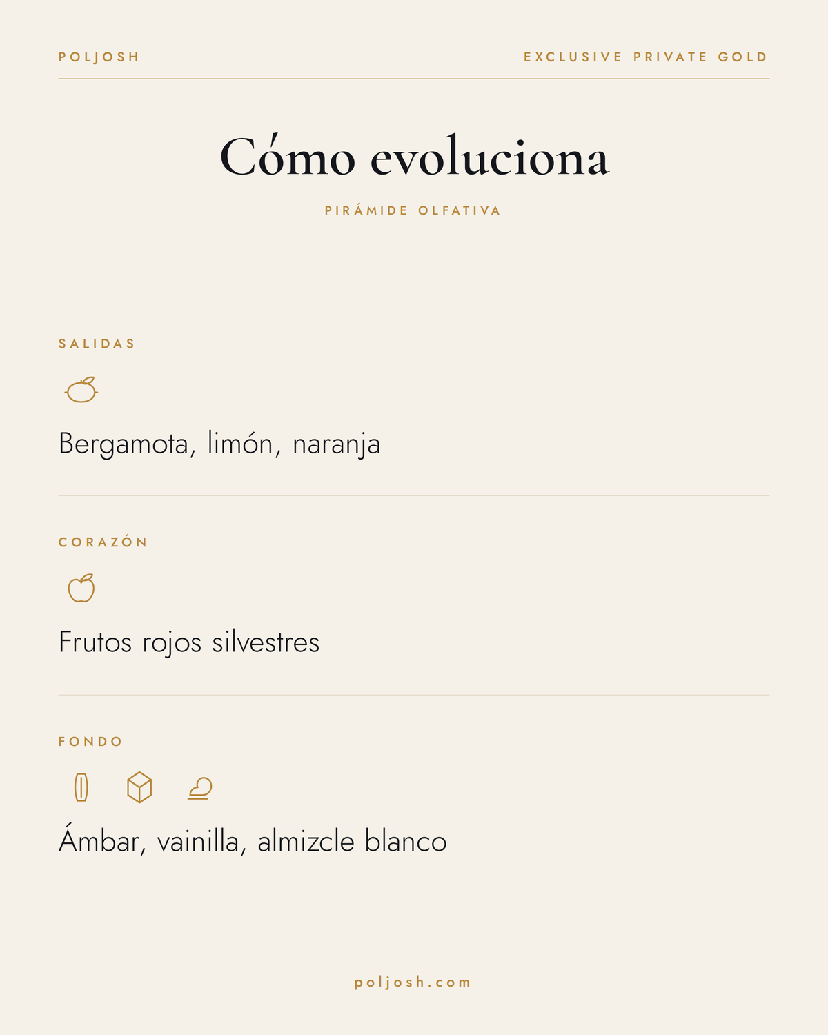 Exclusive Private Gold — pirámide olfativa