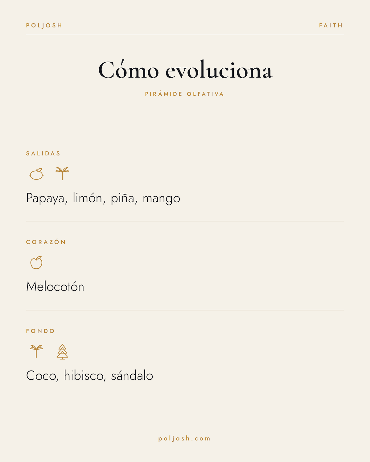Faith — pirámide olfativa