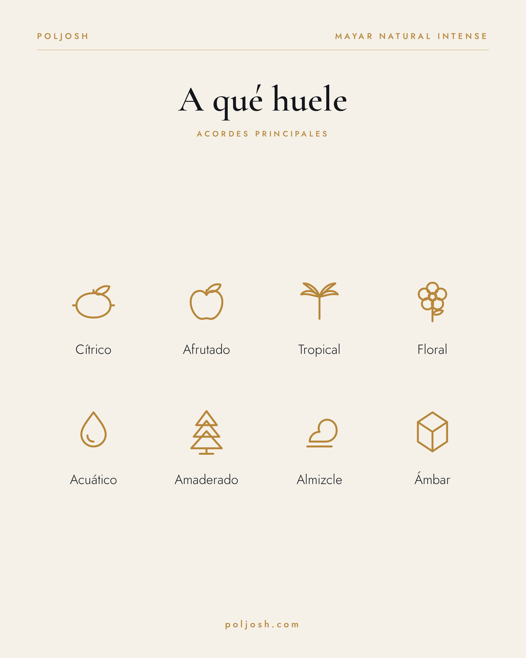 Mayar Natural Intense — acordes principales