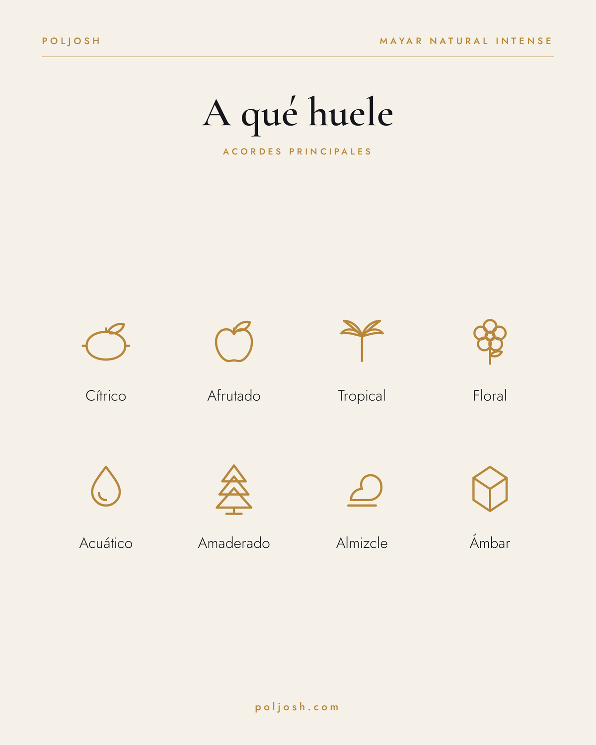Mayar Natural Intense — acordes principales