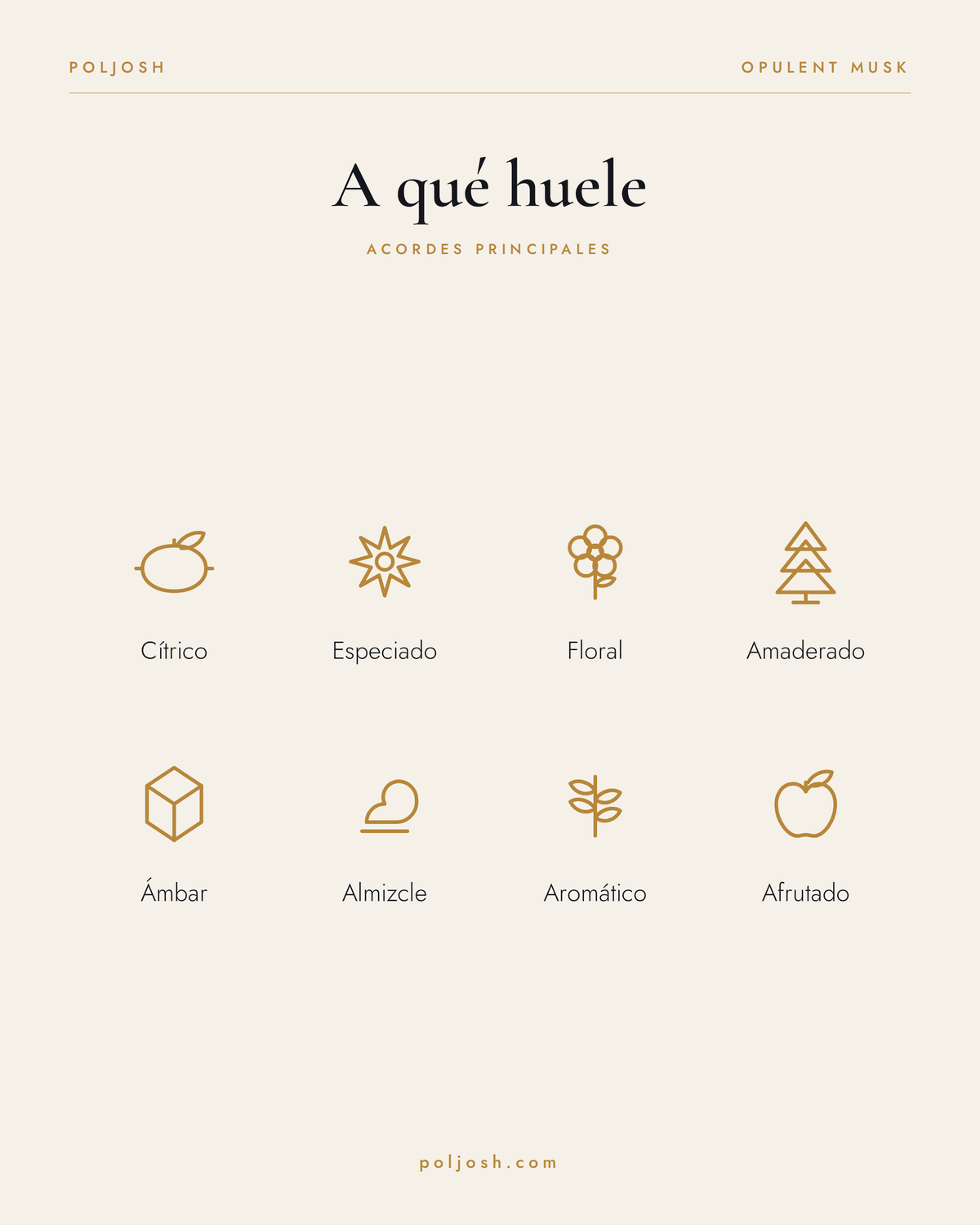 Opulent Musk — acordes principales