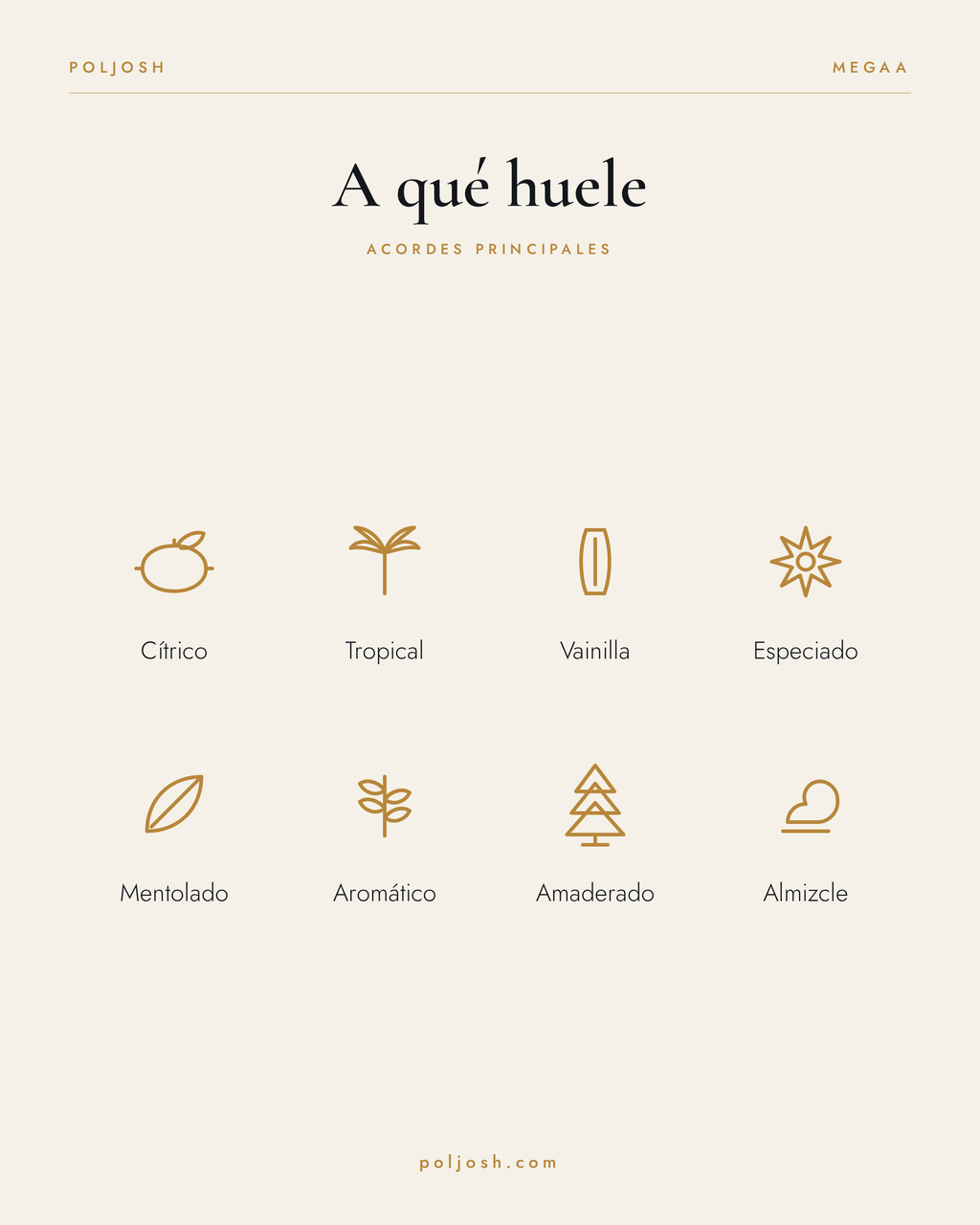 Megaa — acordes principales