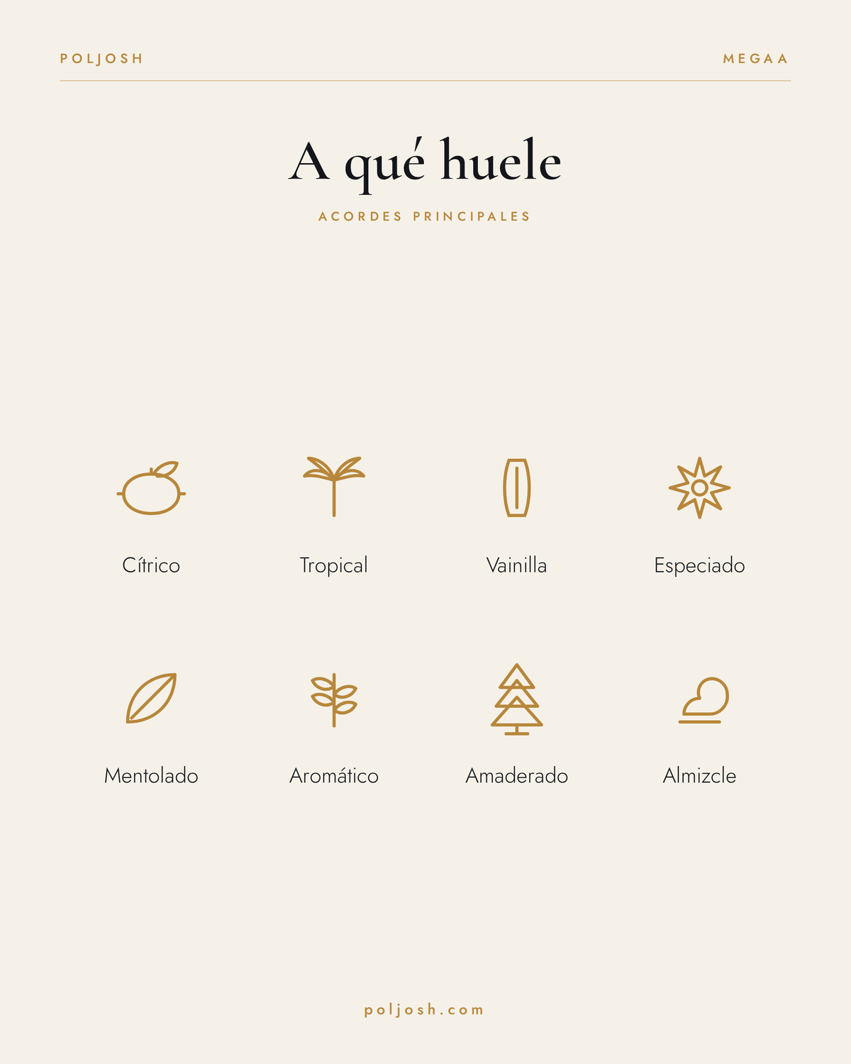Megaa — acordes principales