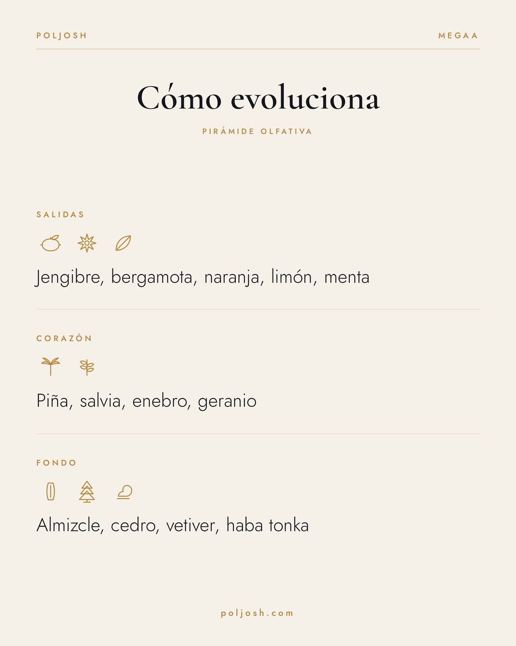 Megaa — pirámide olfativa