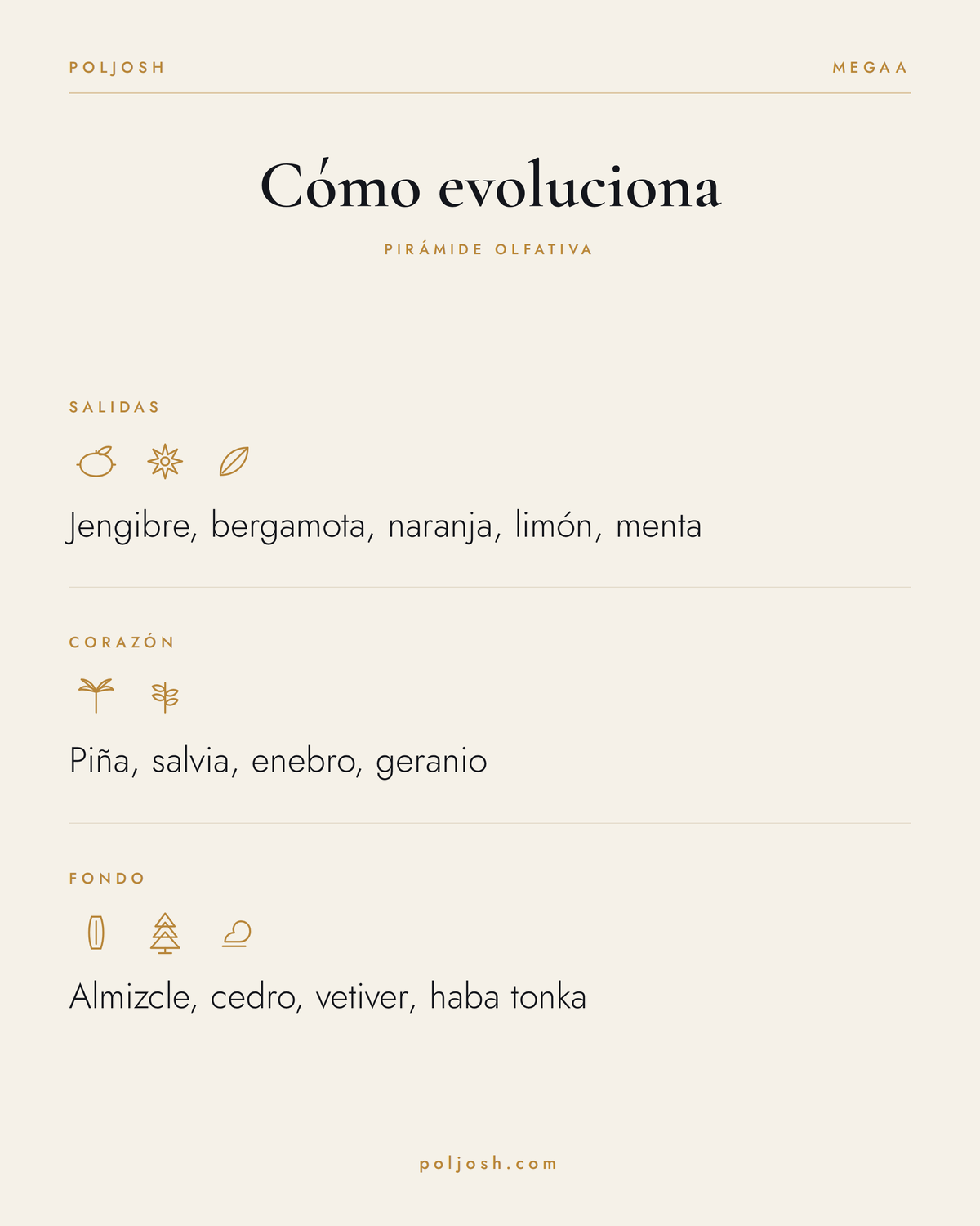 Megaa — pirámide olfativa