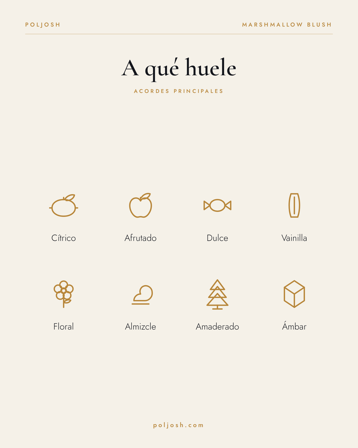 Marshmallow Blush — acordes principales