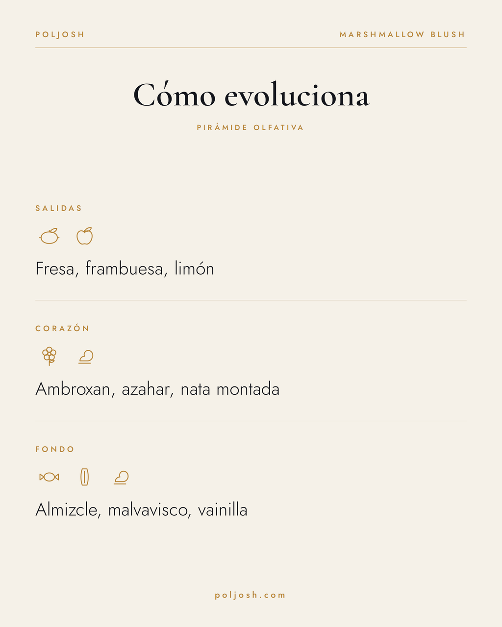 Marshmallow Blush — pirámide olfativa