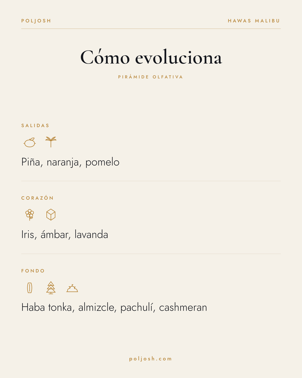 Hawas Malibu — pirámide olfativa