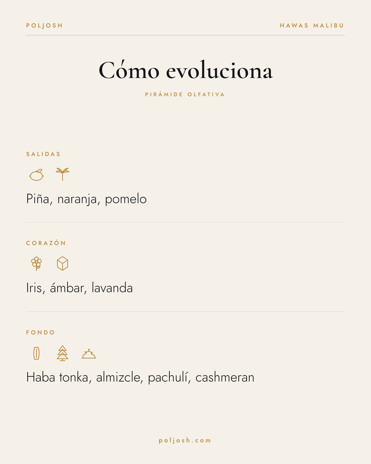 Hawas Malibu — pirámide olfativa