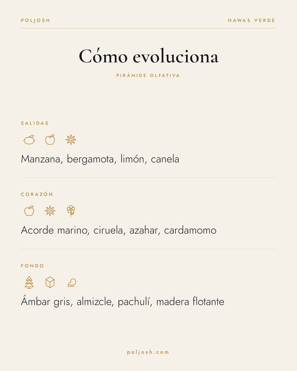 Hawas Verde — pirámide olfativa