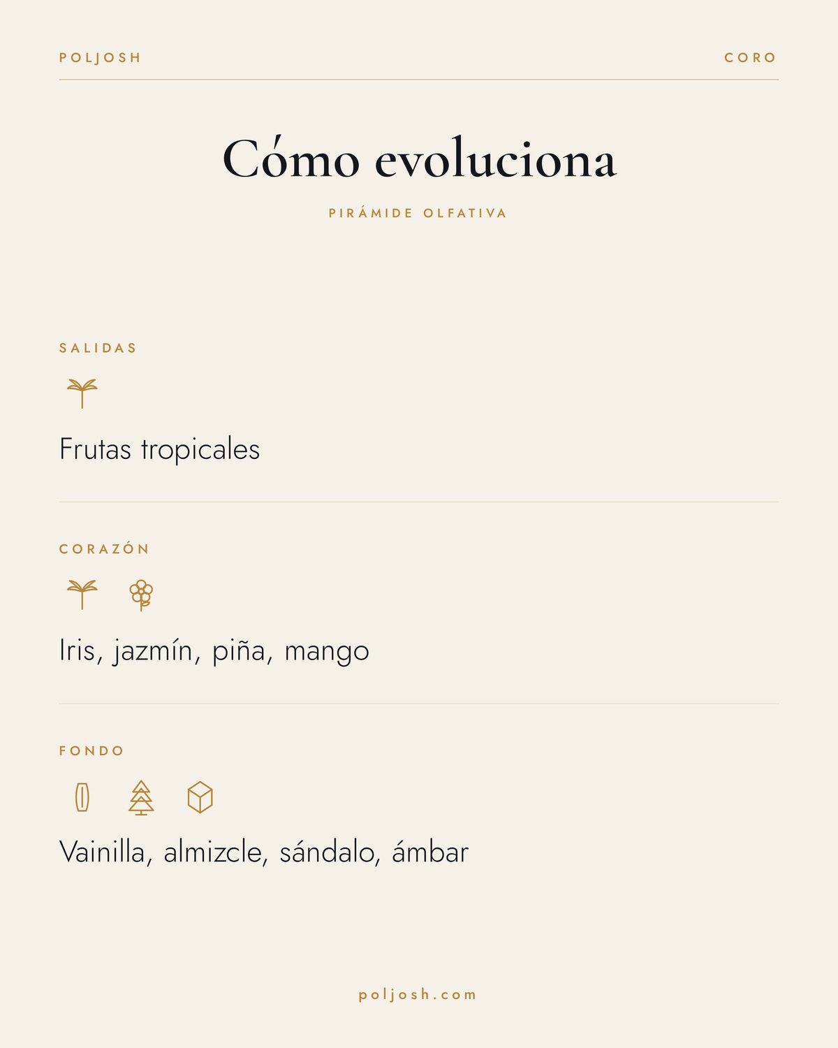 Coro — pirámide olfativa